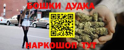 индика Рузаевка