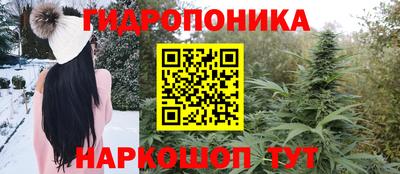 индика Рузаевка