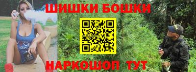 индика Рузаевка