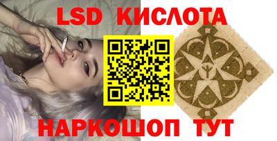 индика Рузаевка