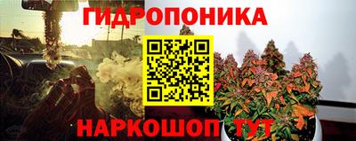 индика Рузаевка