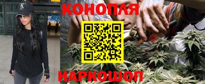 индика Рузаевка