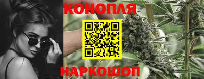 индика Рузаевка