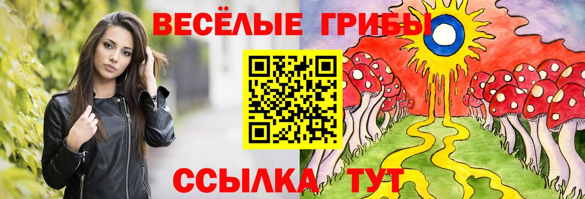 Санкт-Петербург  Галлюциногенные грибы Psilocybine cubensis  Вход с VPN  Псилоцибиновые грибы мицелий 